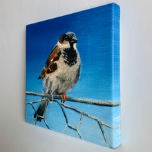 Load image into Gallery viewer, “Lookout” - 8 x 8 inches - Ready to hang canvas print
