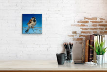 Load image into Gallery viewer, “Lookout” - 8 x 8 inches - Ready to hang canvas print