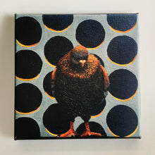 Load image into Gallery viewer, “Warming” - 8 x 8 inches - Ready to hang canvas print