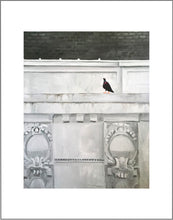 Load image into Gallery viewer, "Up High” print